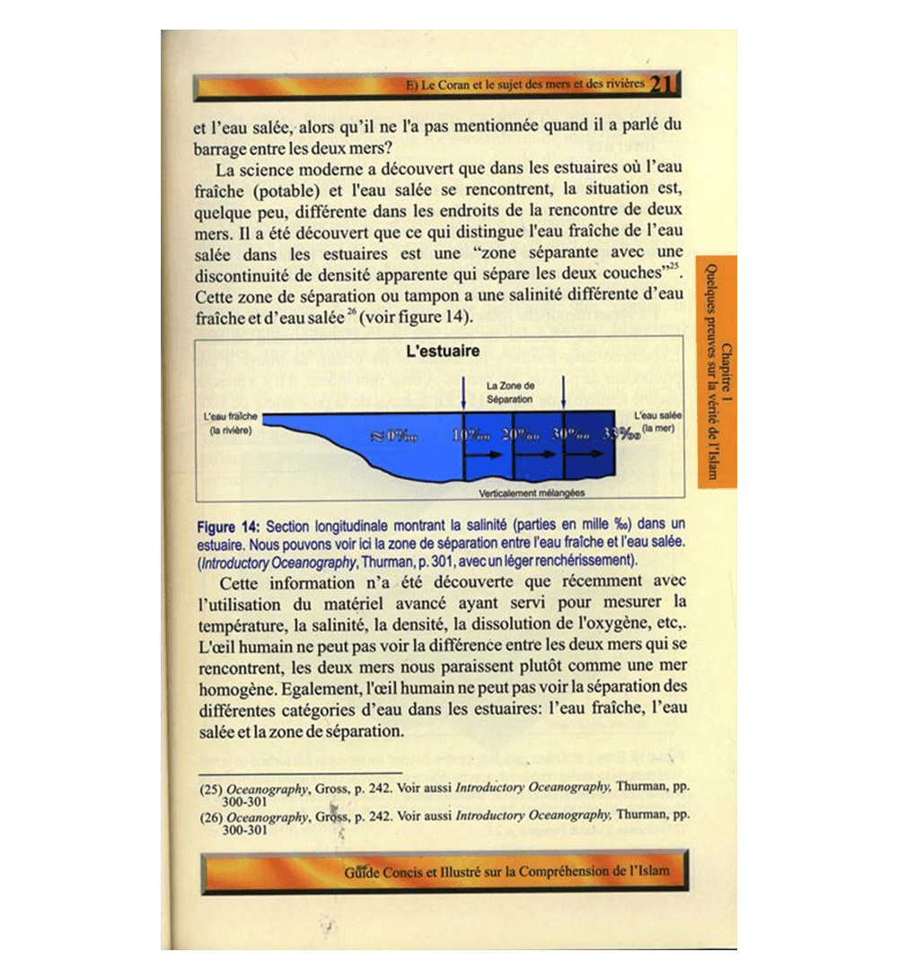 (French)A Brief Illustrated Guide to understand Islam (Guide Concis Et Illustre Sur La Comprehension De L’Islam)