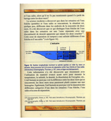 (French)A Brief Illustrated Guide to understand Islam (Guide Concis Et Illustre Sur La Comprehension De L’Islam)