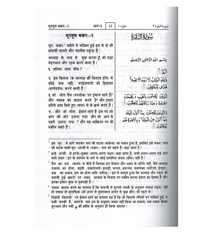 Noble Quran Hindi Language Mukhtasar Tafseer Ahsanul Bayan (22351)