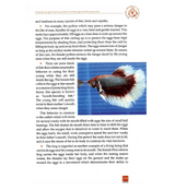 Scientific Miracles in the Oceans and Animals