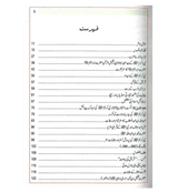 Atlas Seerat e Nabwi : Urdu / اٹلس سیرتِ نبوی صلی الله علیهِ وآلهِ وسلم اردو