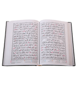 Tajweed Quran ( Persian, Urdu,hindi & South African Script with 15Lines )
