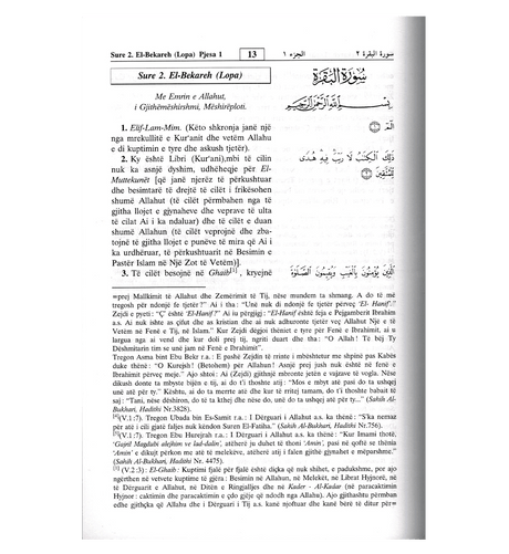 Noble Quran in Albanian Language : Kur'anit Te Larte (22353)