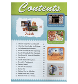 Islamic Studies Grade 4 (paperback)