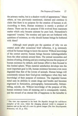 The Purpose of Creation - NobleBookshop