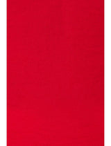 RED SLIP DRESS SLEEVELESS