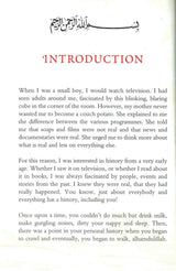 Salah ad Din and the Crusades