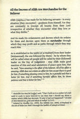 A Principle Concerning Patience & Gratitude