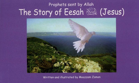 Prophet sent By ALLAH 15 Stories of Prophets Muslim kids Story Books