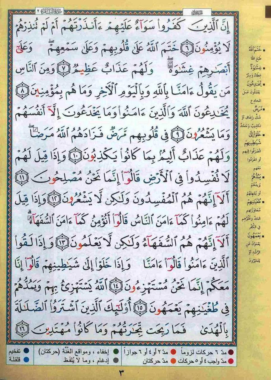 Tajweed Quran in 30 seperate Juzz Leather Case 17x24 Cm