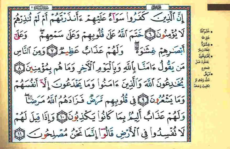 Tajweed Quran in 30 Parts Leather Case Pocket Plus 8x12 cm